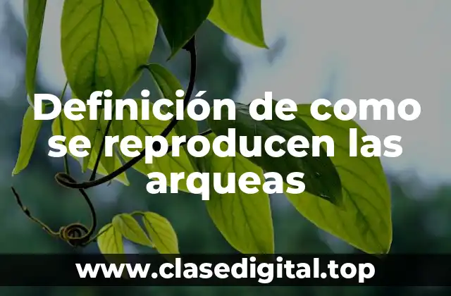 Definición de como se reproducen las arqueas