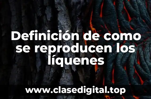 Ejemplos de líquenes