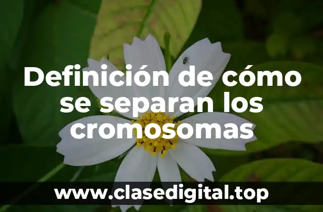 Definición de cómo se separan los cromosomas