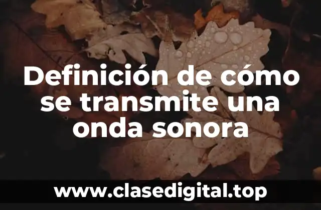 Definición de cómo se transmite una onda sonora