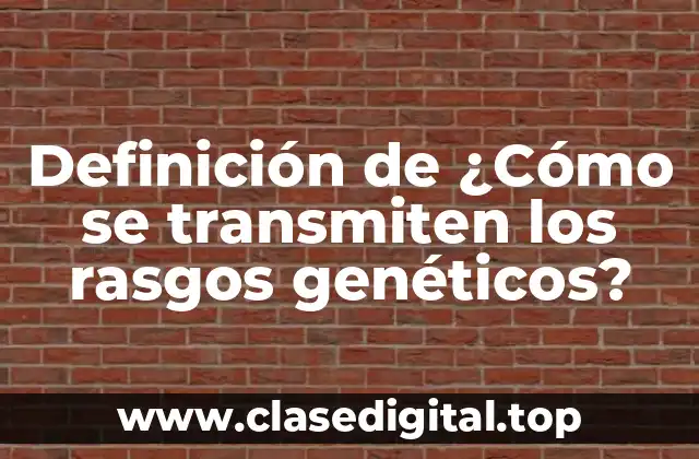 Definición de ¿Cómo se transmiten los rasgos genéticos?