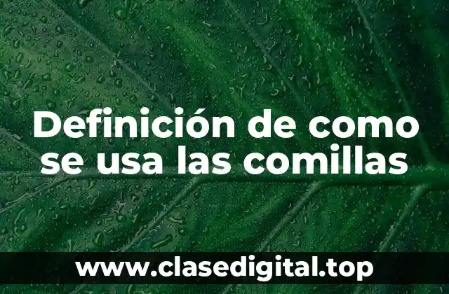 Definición de como se usa las comillas