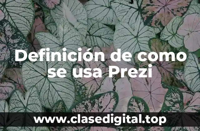 Definición de como se usa Prezi