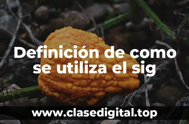 Definición de como se utiliza el sig