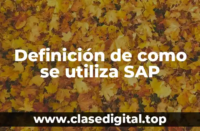 Definición de como se utiliza SAP