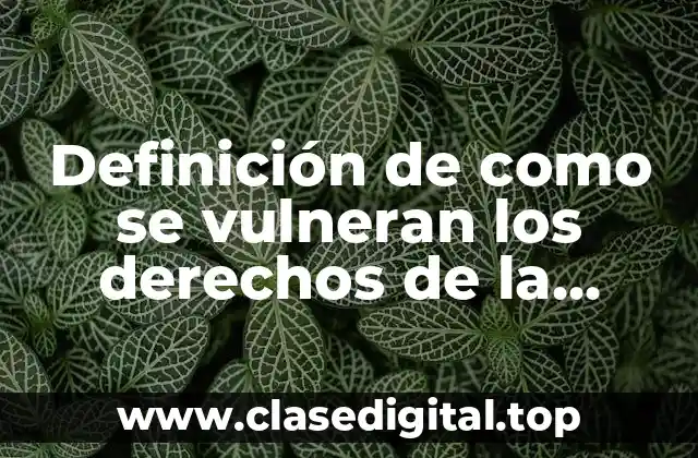 Definición de como se vulneran los derechos de la familia
