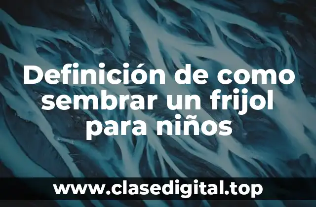 Definición de como sembrar un frijol para niños