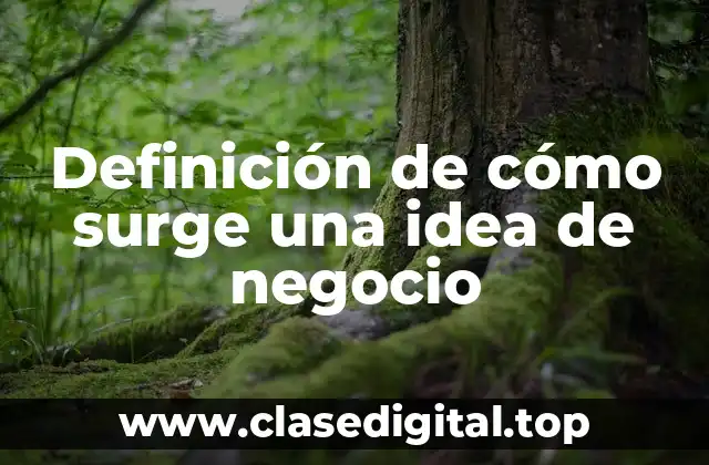 Definición de cómo surge una idea de negocio