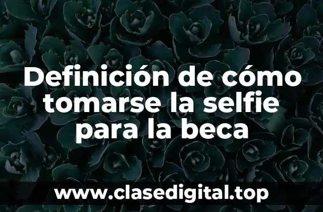 Ejemplos de cómo tomarse la selfie para la beca
