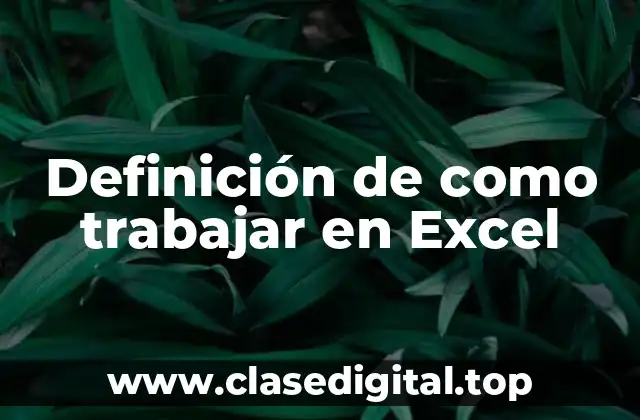 Definición de como trabajar en Excel