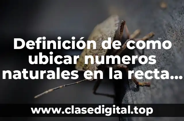 Definición de como ubicar numeros naturales en la recta numerica