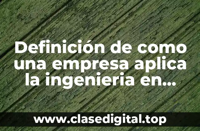 Definición de como una empresa aplica la ingenieria en sistemas