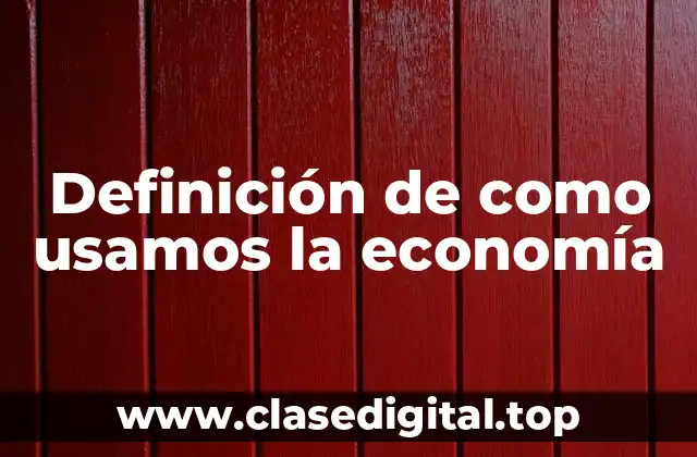 Ejemplos de como usamos la economía