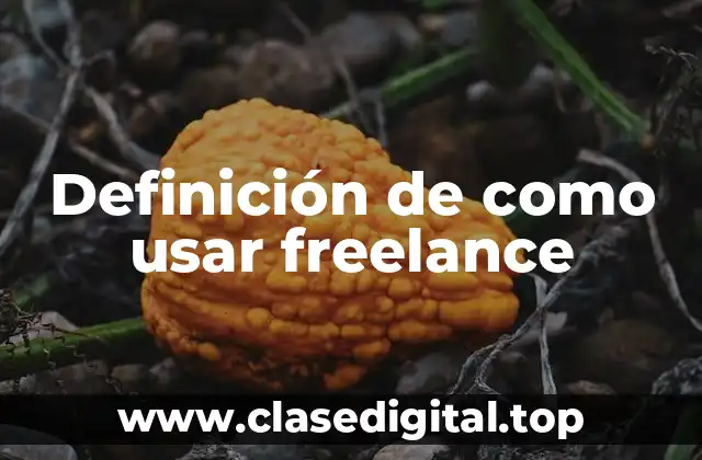 Definición de como usar freelance