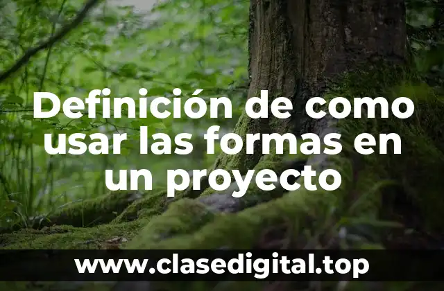 Definición de como usar las formas en un proyecto
