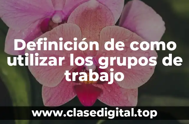 Definición de como utilizar los grupos de trabajo