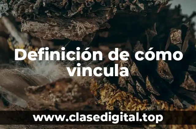 Definición de cómo vincula