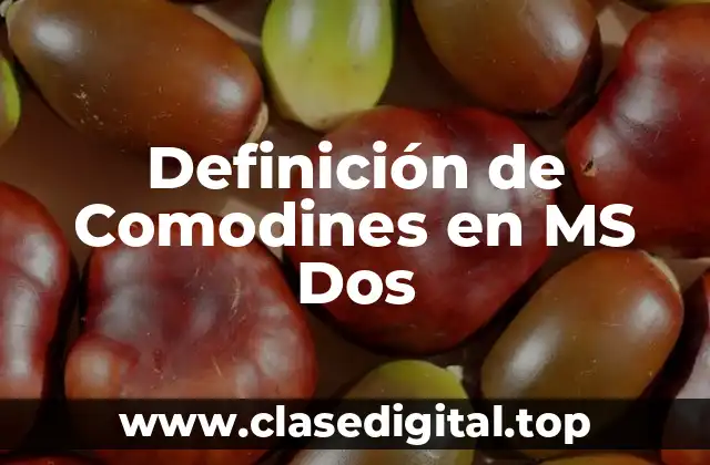 Definición de Comodines en MS Dos