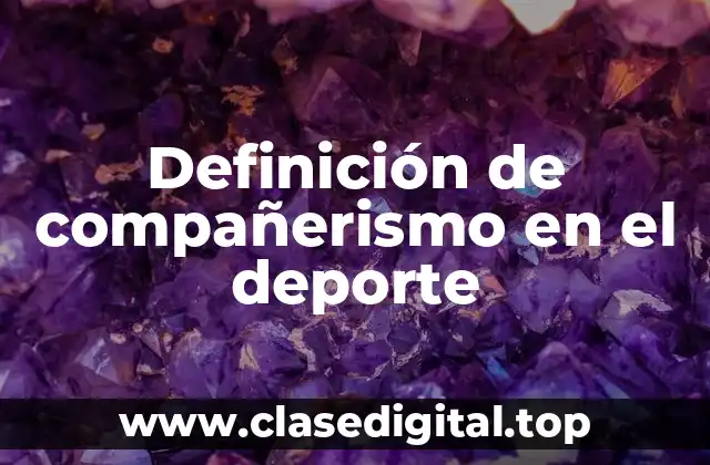 Definición de compañerismo en el deporte