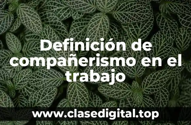 Definición de compañerismo en el trabajo