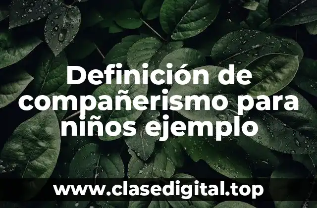 Definición de compañerismo para niños ejemplo