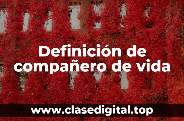 Definición de compañero de vida