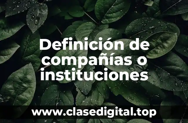 Definición de compañías o instituciones