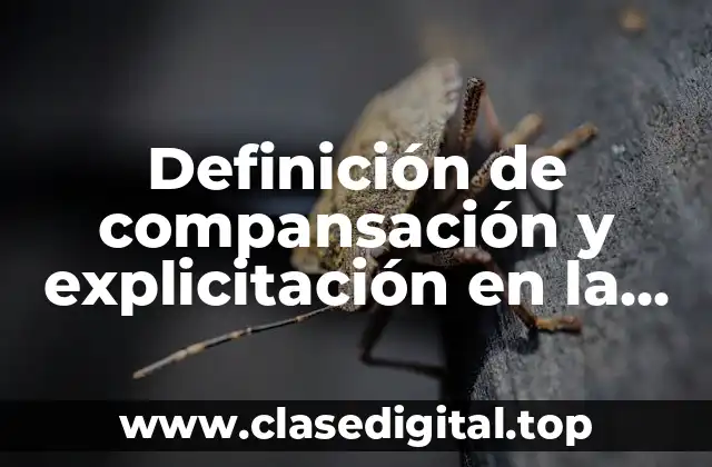 Definición de compansación y explicitación en la traducción