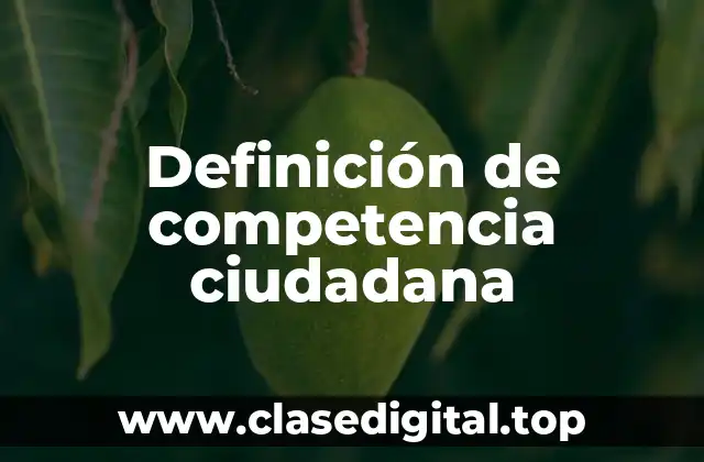 Definición de competencia ciudadana