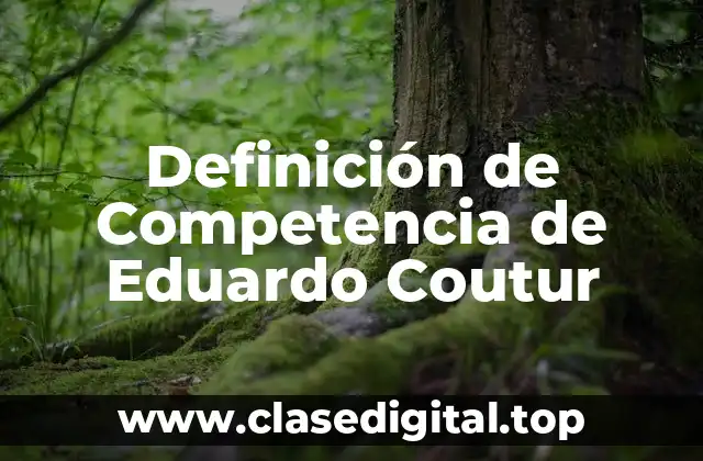 Definición de Competencia de Eduardo Coutur
