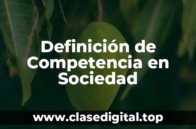 Definición de Competencia en Sociedad