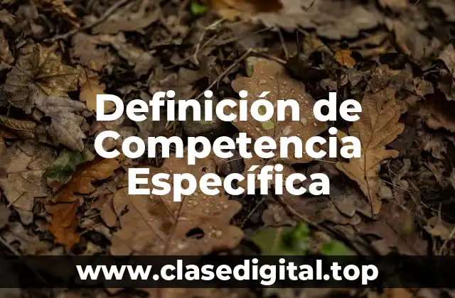 Definición de Competencia Específica