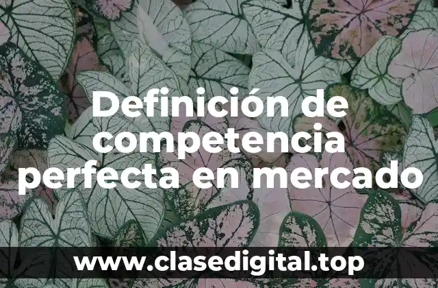 Ejemplos de competencia perfecta en mercado