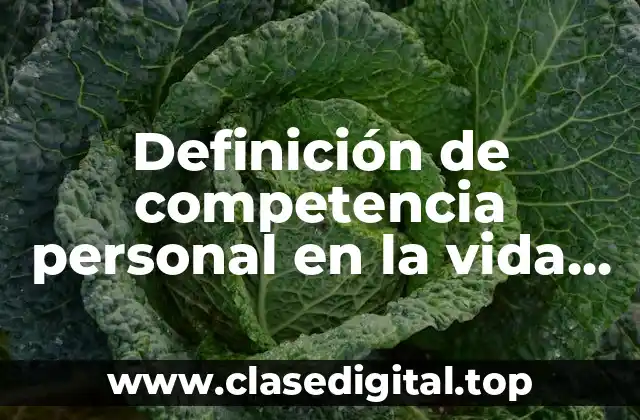 Definición de competencia personal en la vida diaria