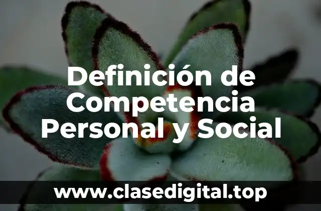 Definición de Competencia Personal y Social
