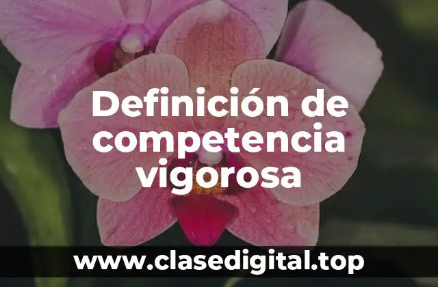Definición de competencia vigorosa