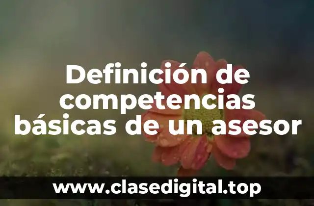 Definición de competencias básicas de un asesor