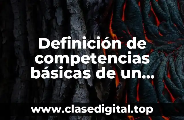 Definición de competencias básicas de un profesional