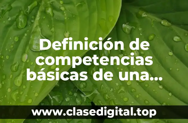 Definición de competencias básicas de una persona