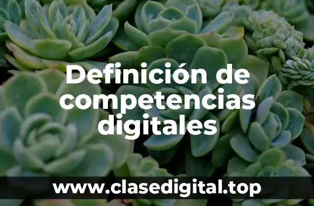 Definición de competencias digitales