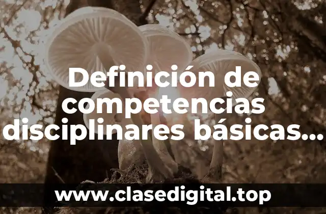 Definición de competencias disciplinares básicas y extendidas