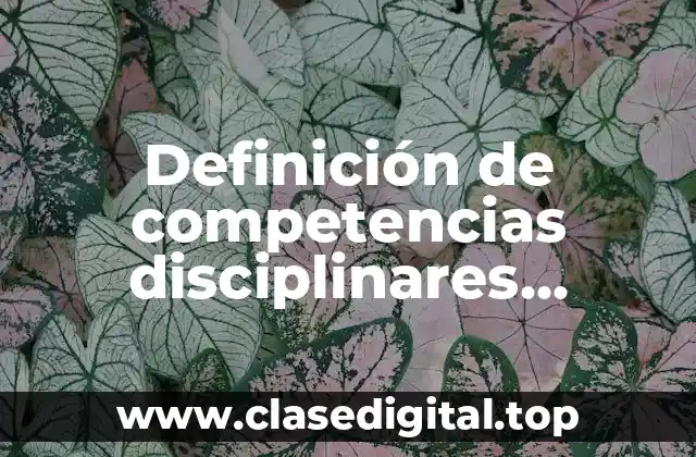 Definición de competencias disciplinares extendidas