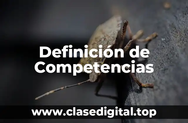 Definición de Competencias