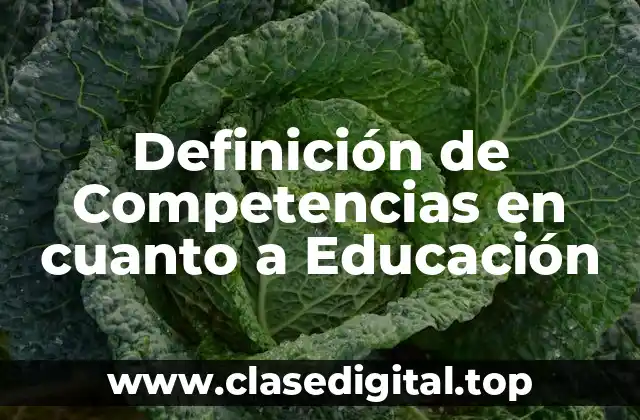 Definición técnica de Competencias