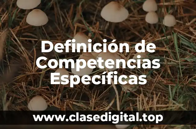 Definición Técnica de Competencias Específicas