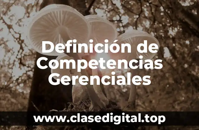 Definición de Competencias Gerenciales