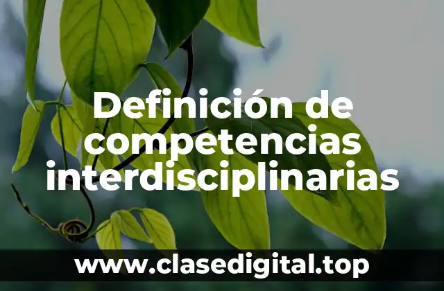 Ejemplos de competencias interdisciplinarias