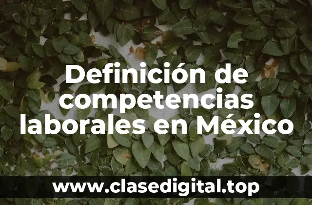 Definición de competencias laborales en México