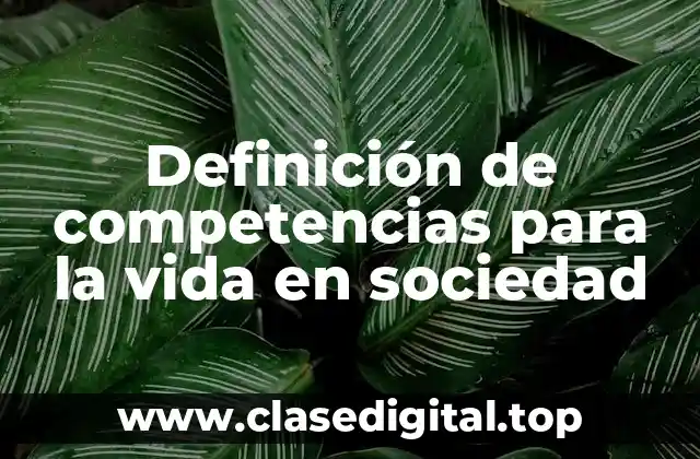 Definición de competencias para la vida en sociedad