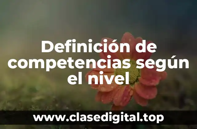 Definición de competencias según el nivel